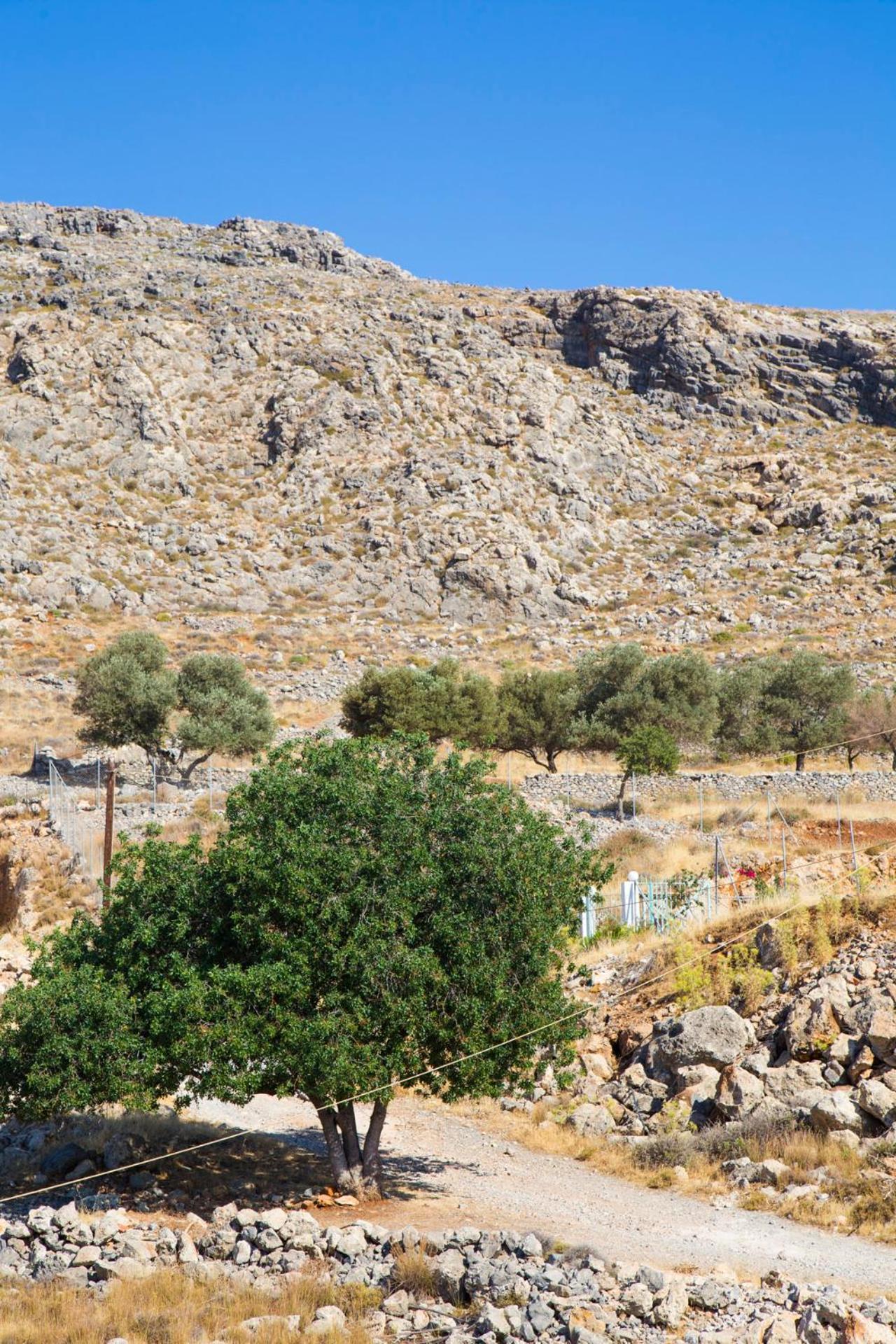 Lindos Portes Suites - Adults Only Exterior photo